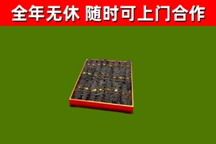 罗庄区回收海参